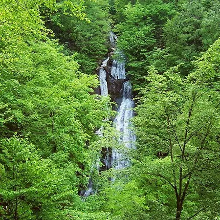 Hotel Kackar Ayder Yaylasi