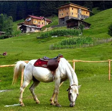 Kackar Hotel